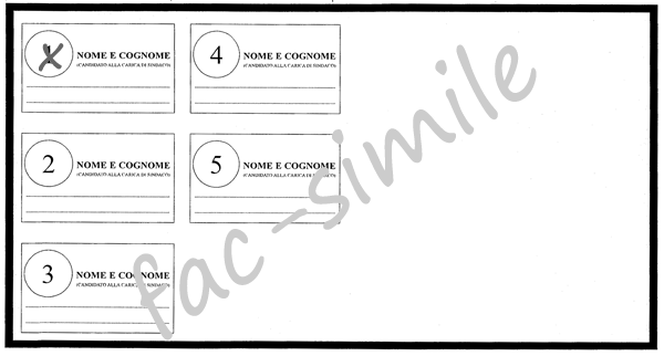 fac simile scheda elezione 