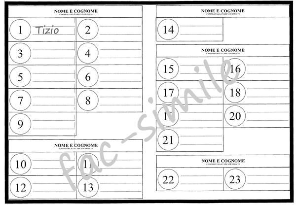 fac simile scheda elezione 
